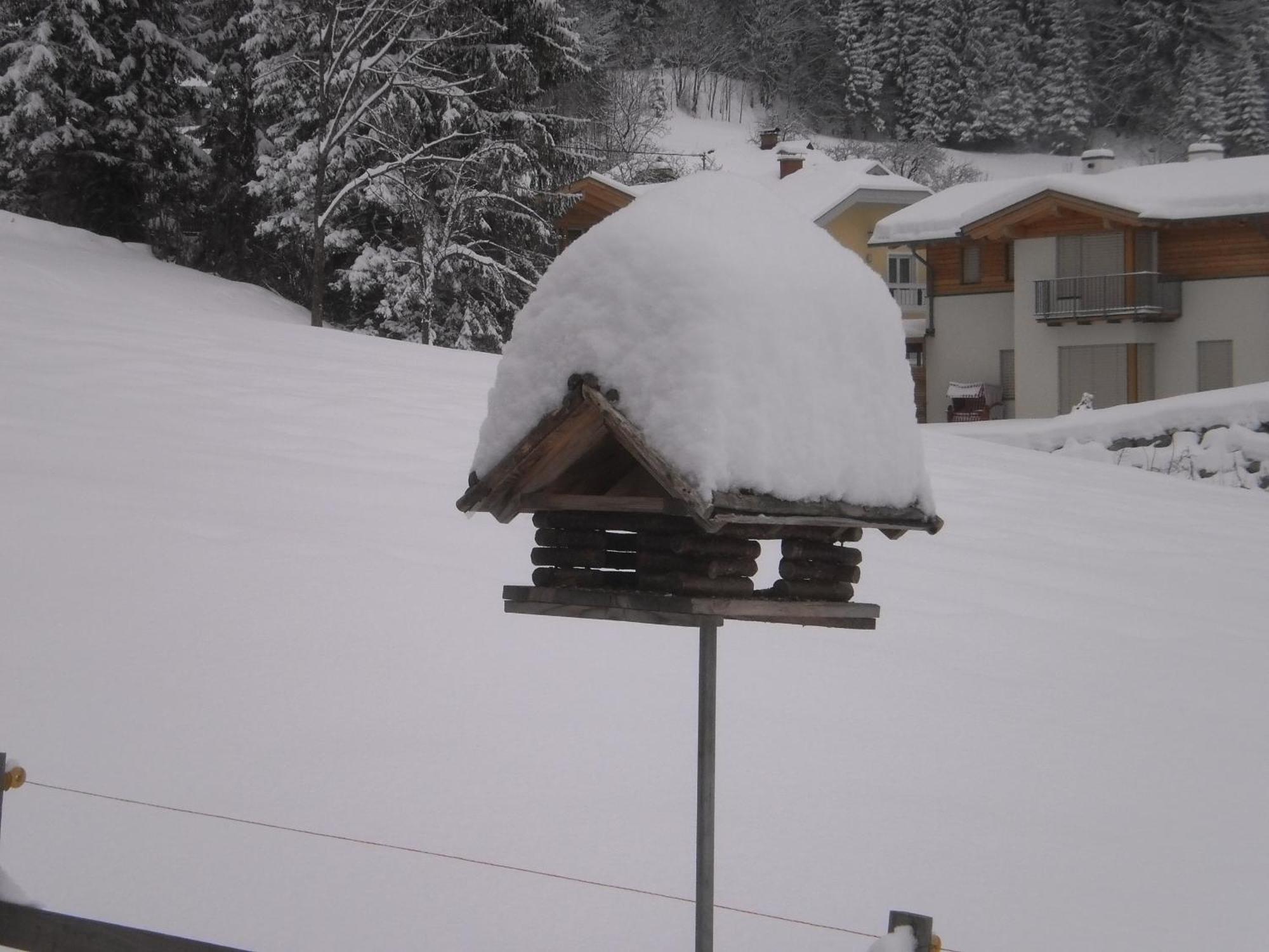 Haus Birke Lägenhet Weissensee Exteriör bild