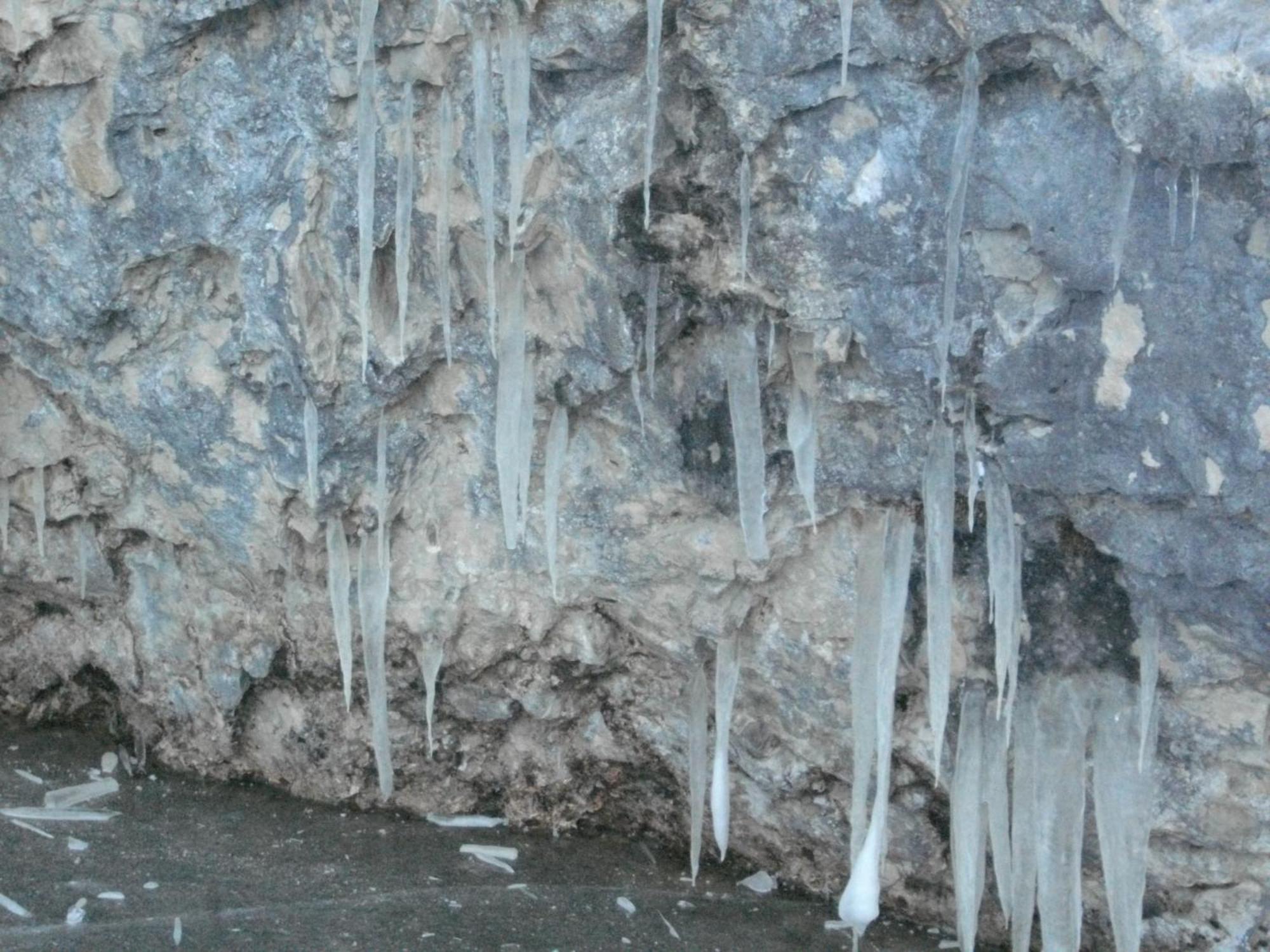 Haus Birke Lägenhet Weissensee Exteriör bild