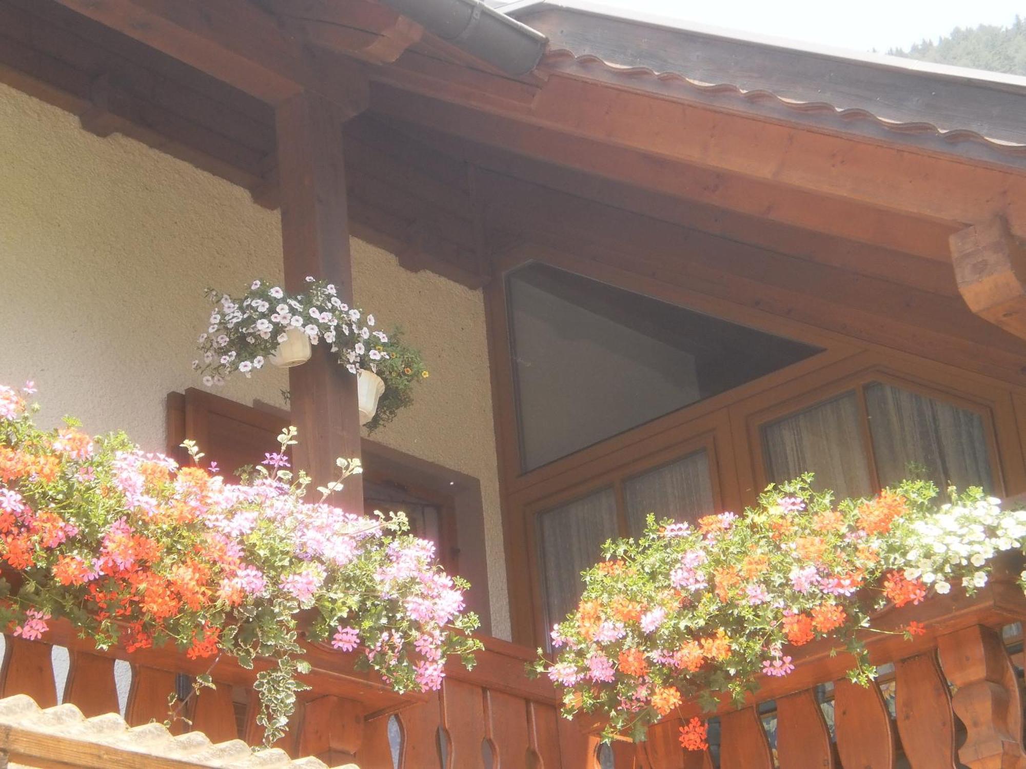 Haus Birke Lägenhet Weissensee Exteriör bild