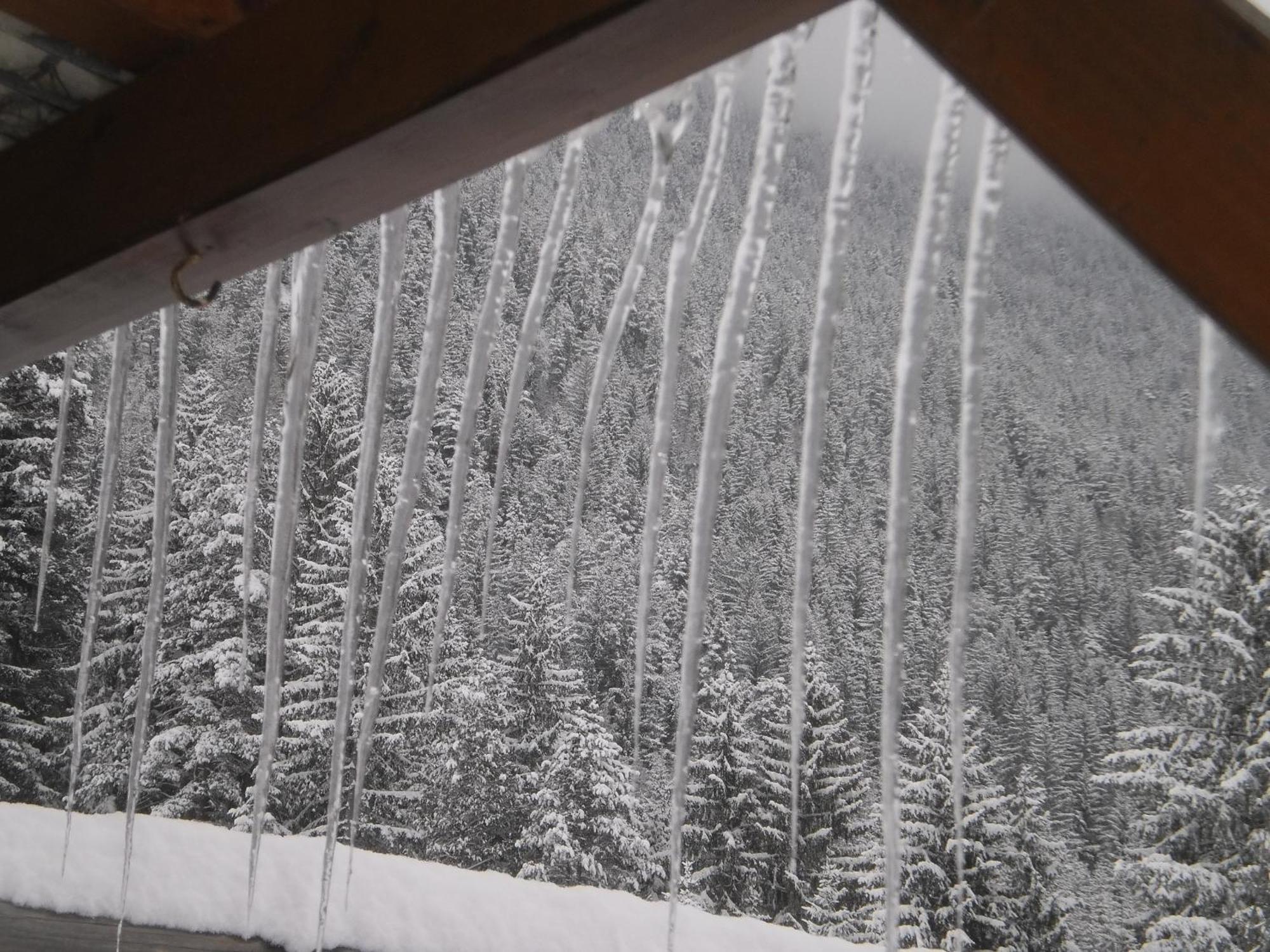 Haus Birke Lägenhet Weissensee Exteriör bild