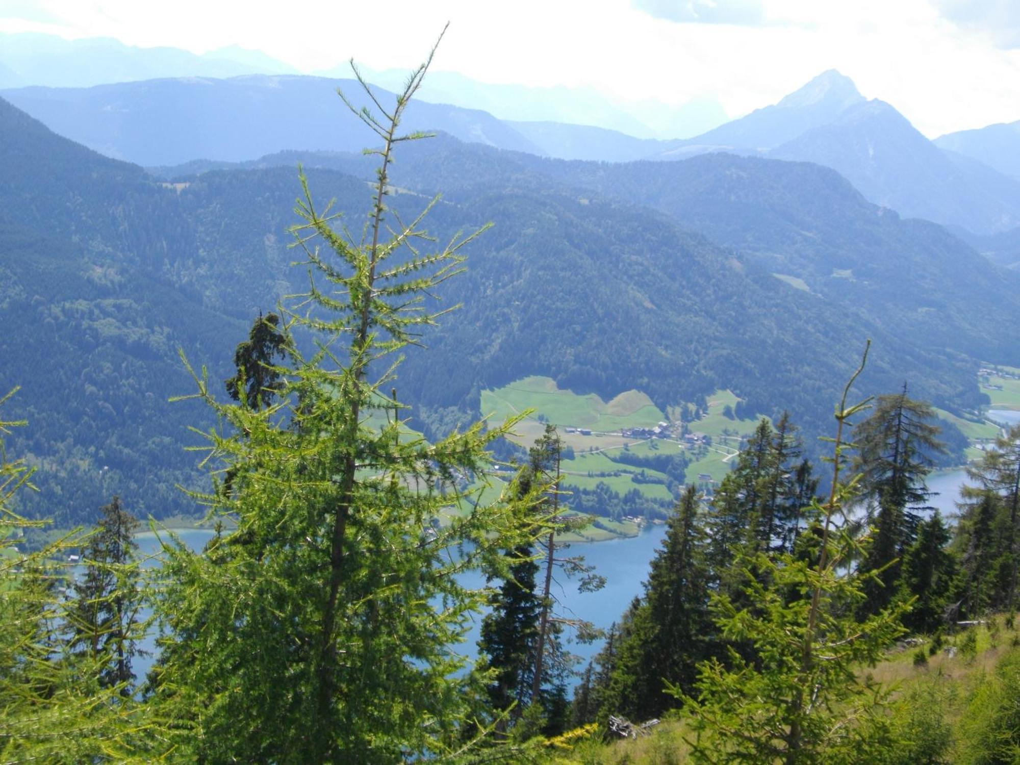 Haus Birke Lägenhet Weissensee Exteriör bild